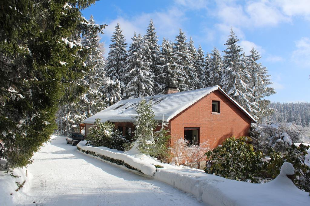 Ferienwohnung Waldhaus Hahnenklee Goslar Exterior foto